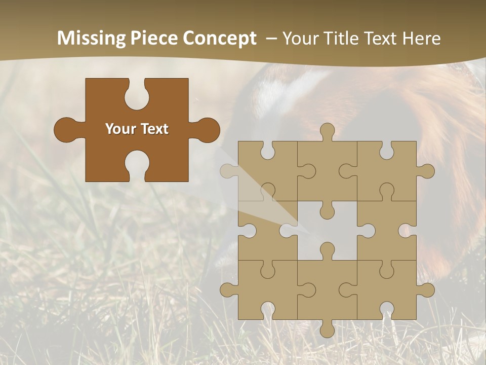 High Environment Architecture PowerPoint Template