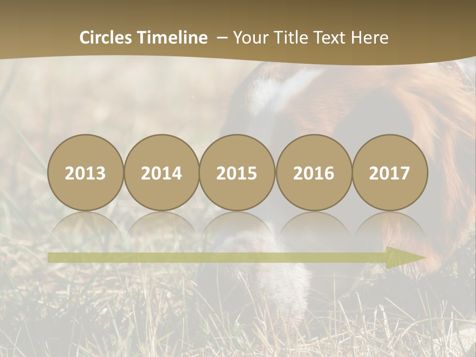 High Environment Architecture PowerPoint Template
