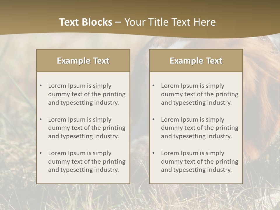 High Environment Architecture PowerPoint Template
