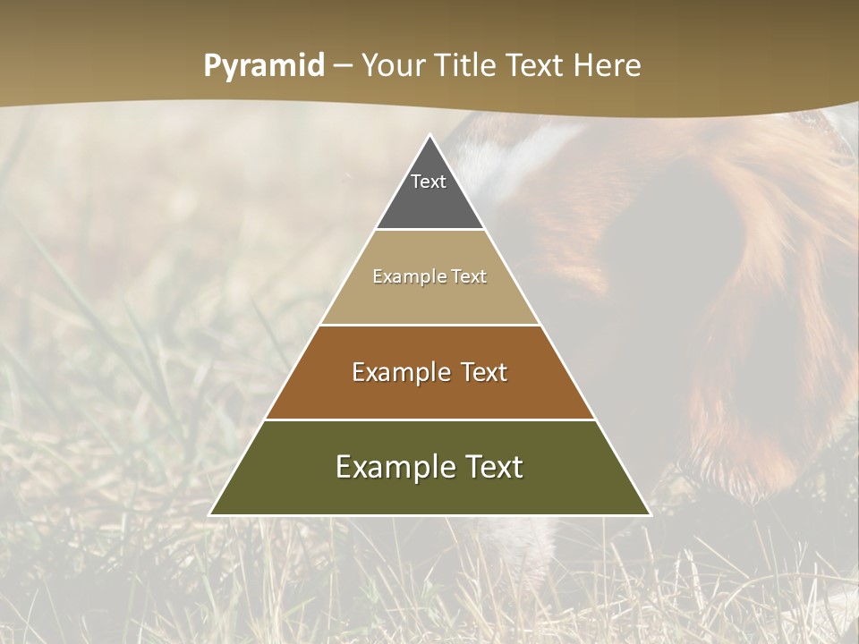 High Environment Architecture PowerPoint Template
