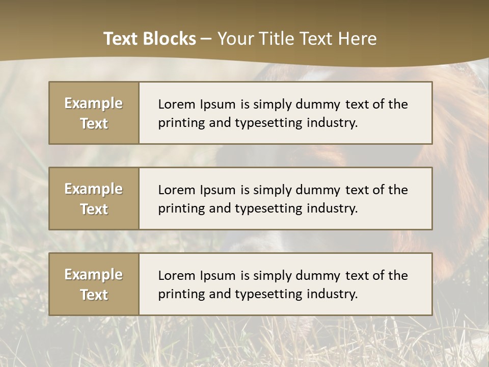 High Environment Architecture PowerPoint Template