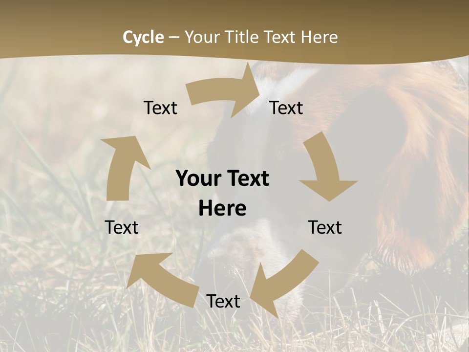 High Environment Architecture PowerPoint Template