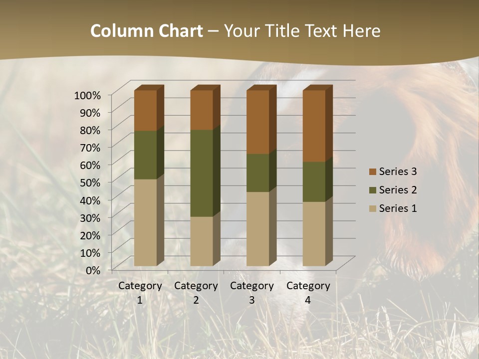 High Environment Architecture PowerPoint Template