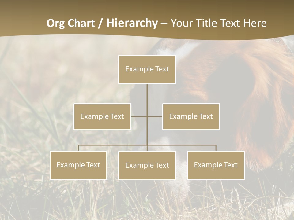 High Environment Architecture PowerPoint Template