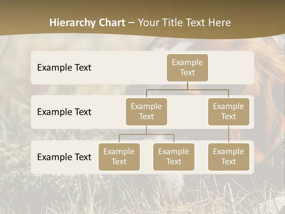 High Environment Architecture PowerPoint Template