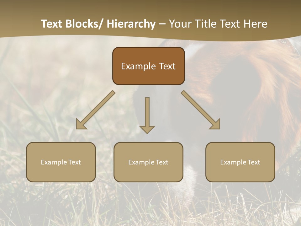 High Environment Architecture PowerPoint Template