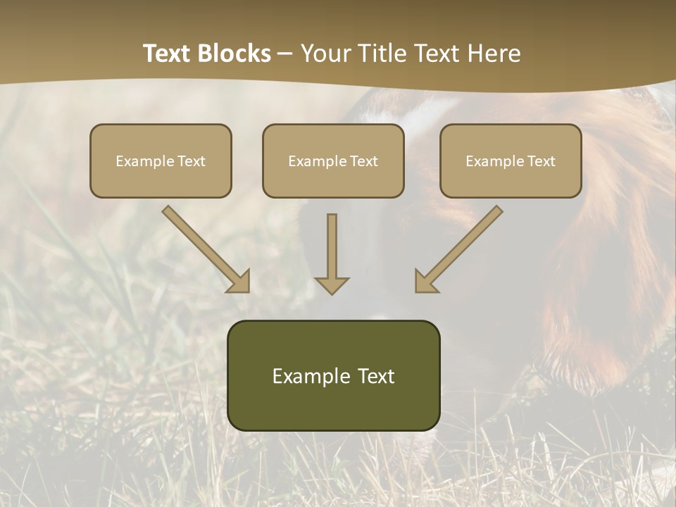 High Environment Architecture PowerPoint Template