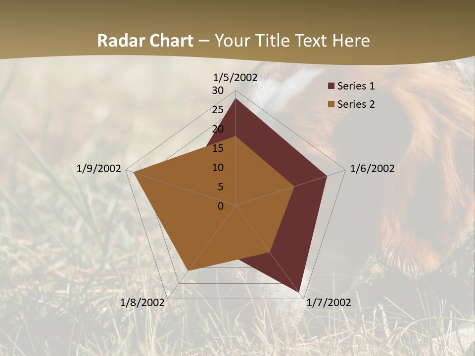 High Environment Architecture PowerPoint Template