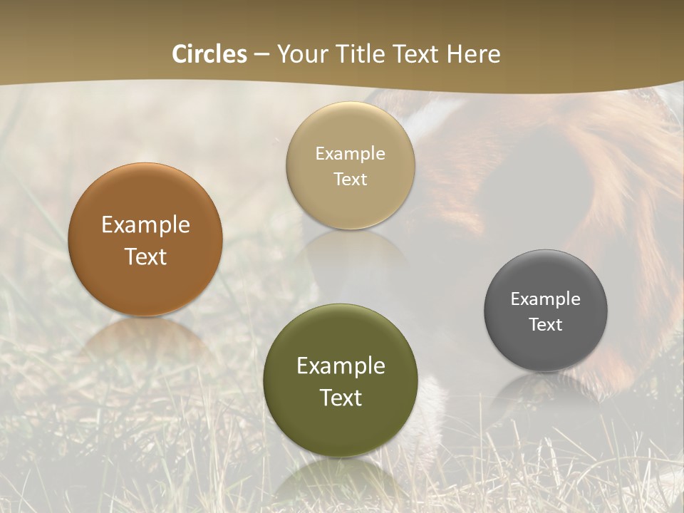 High Environment Architecture PowerPoint Template