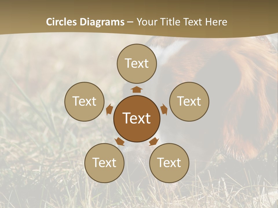 High Environment Architecture PowerPoint Template