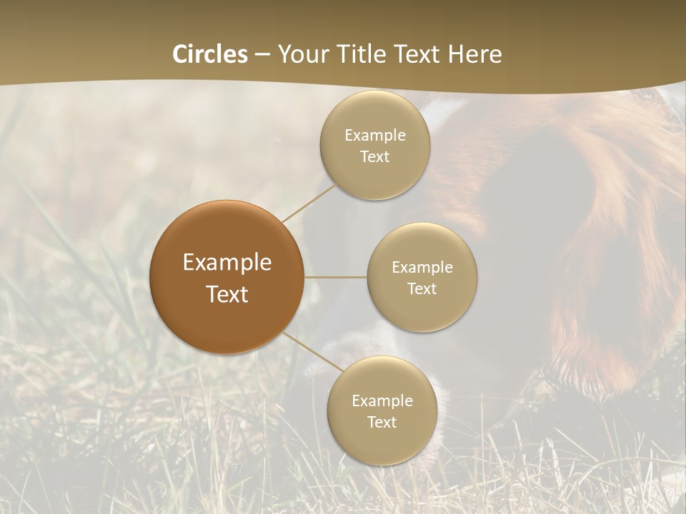 High Environment Architecture PowerPoint Template