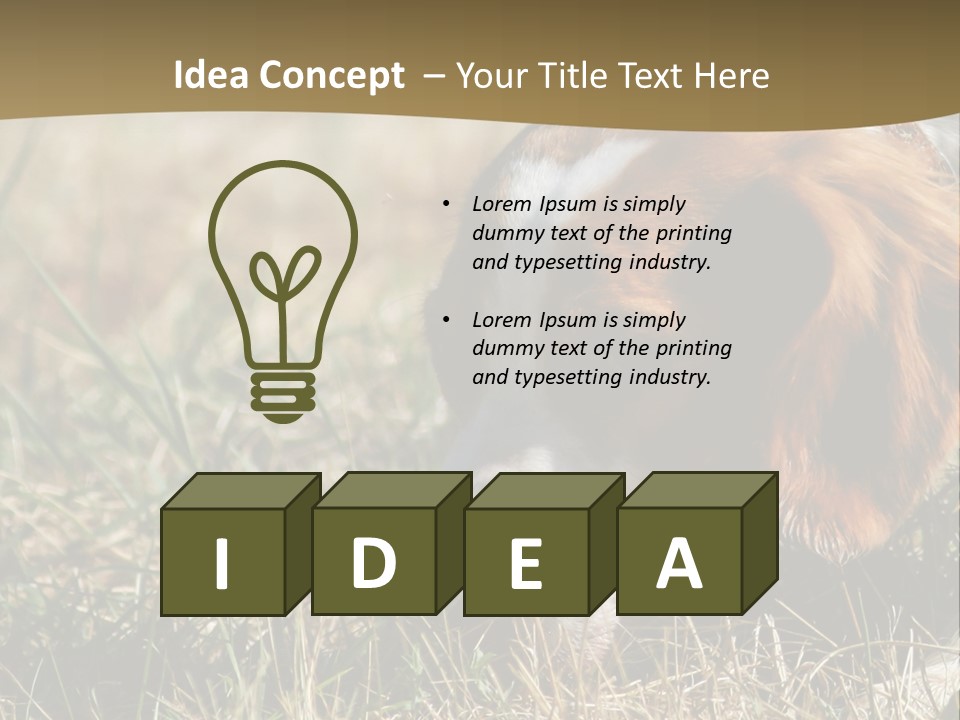 High Environment Architecture PowerPoint Template