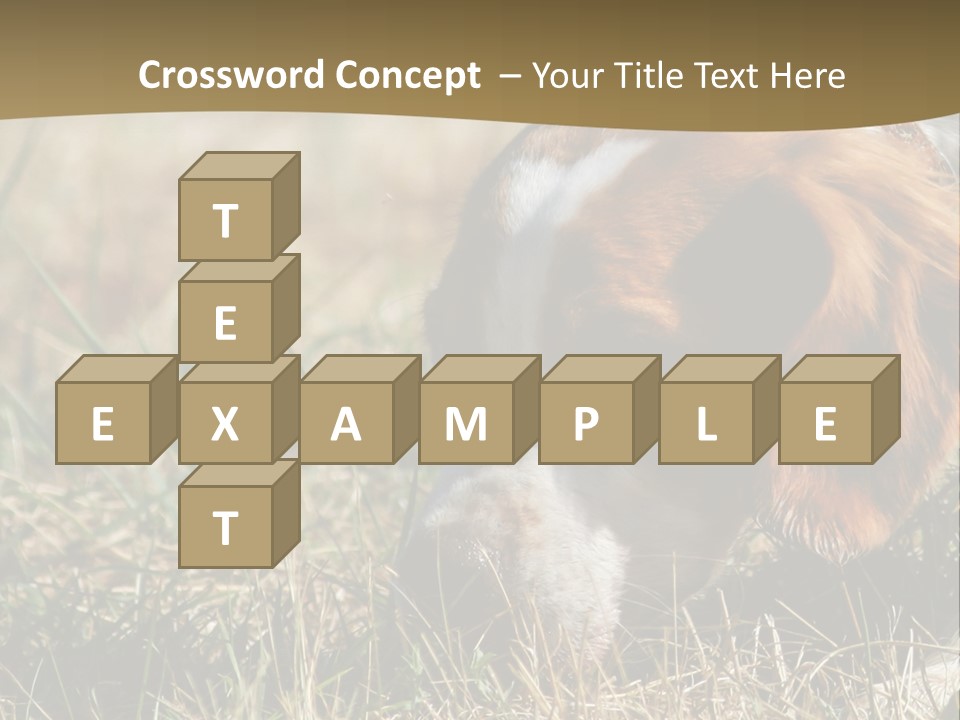High Environment Architecture PowerPoint Template