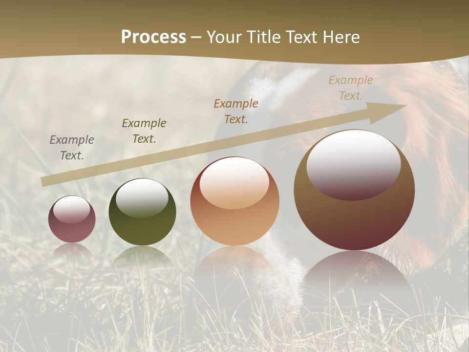 High Environment Architecture PowerPoint Template