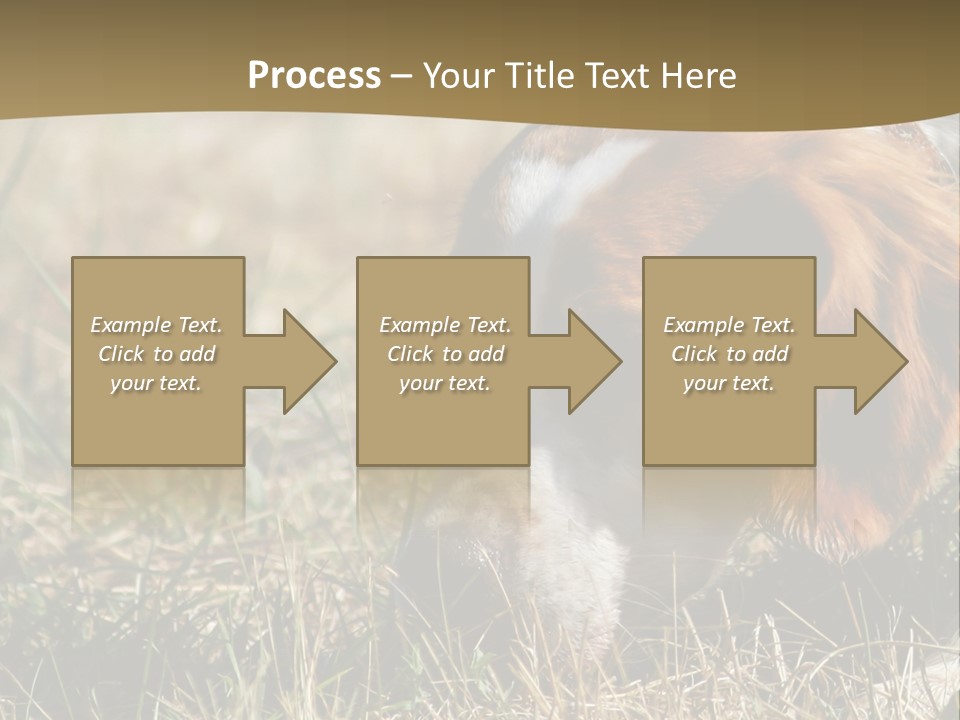 High Environment Architecture PowerPoint Template