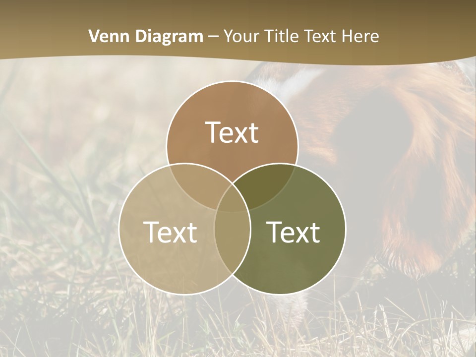 High Environment Architecture PowerPoint Template