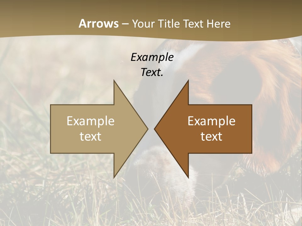 High Environment Architecture PowerPoint Template