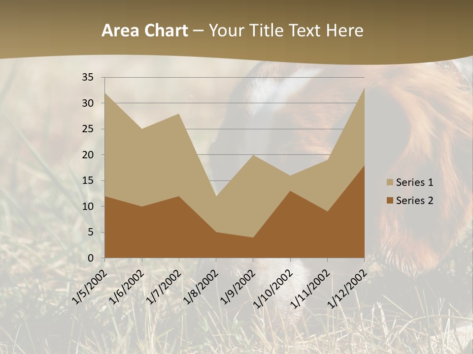 High Environment Architecture PowerPoint Template