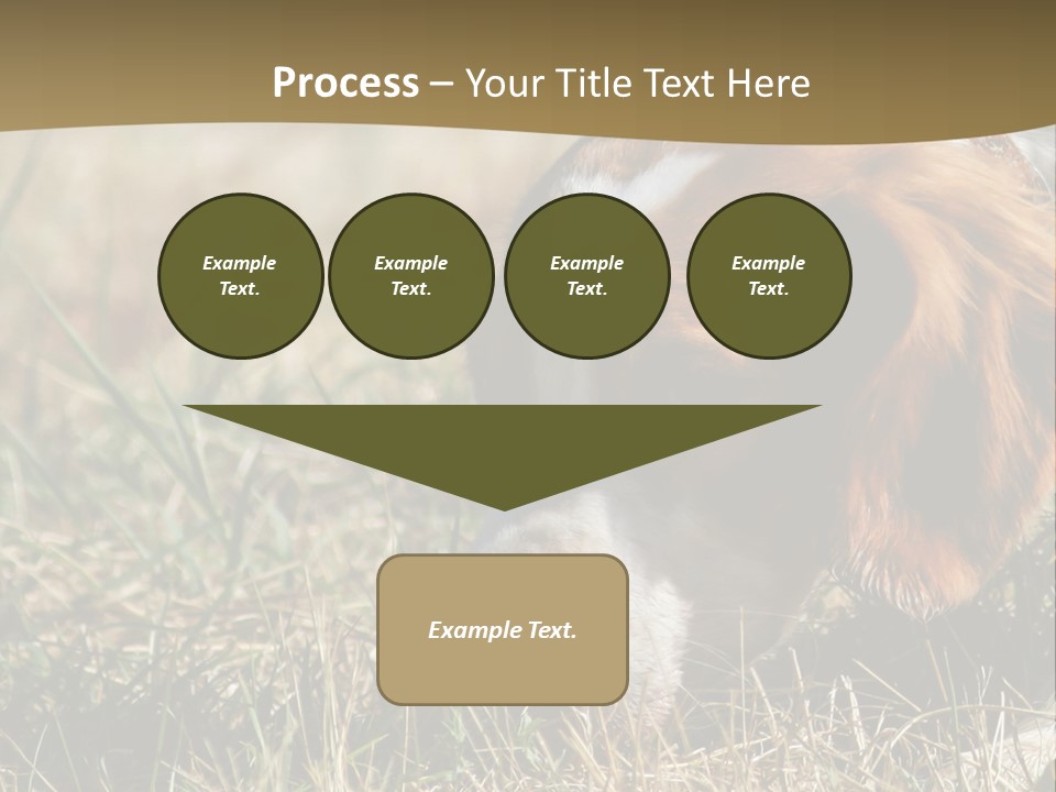 High Environment Architecture PowerPoint Template