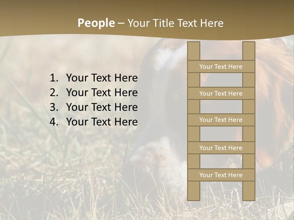 High Environment Architecture PowerPoint Template