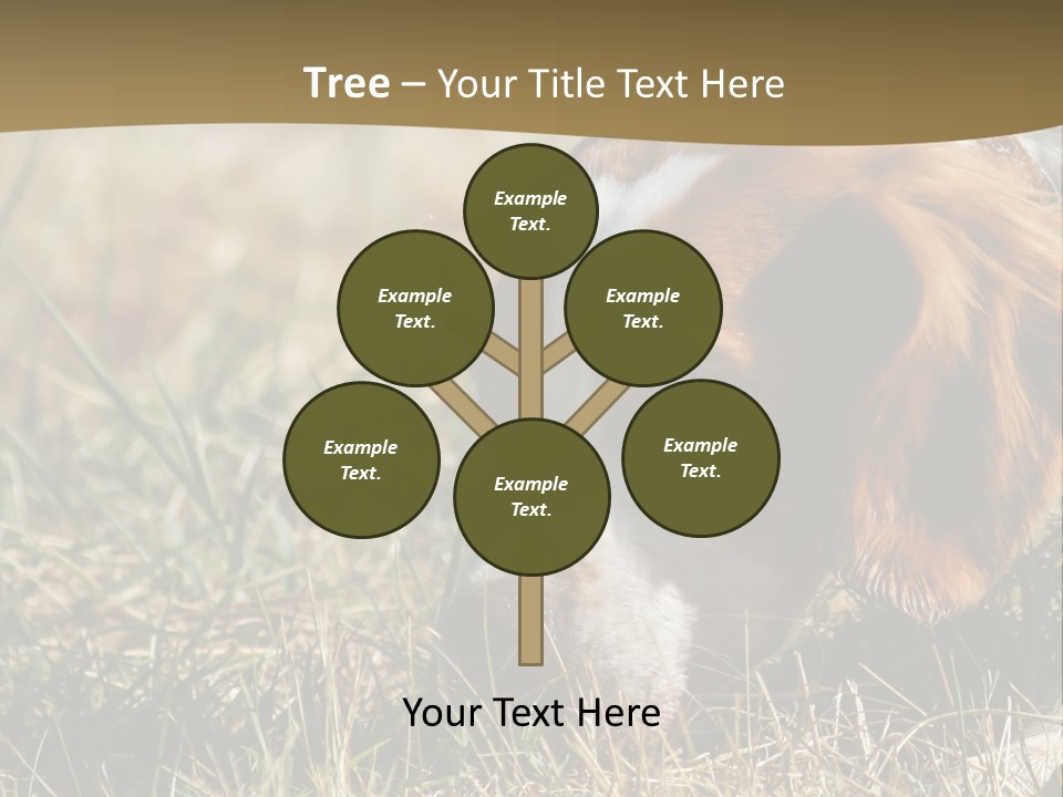 High Environment Architecture PowerPoint Template