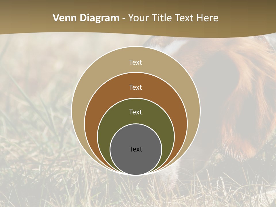 High Environment Architecture PowerPoint Template