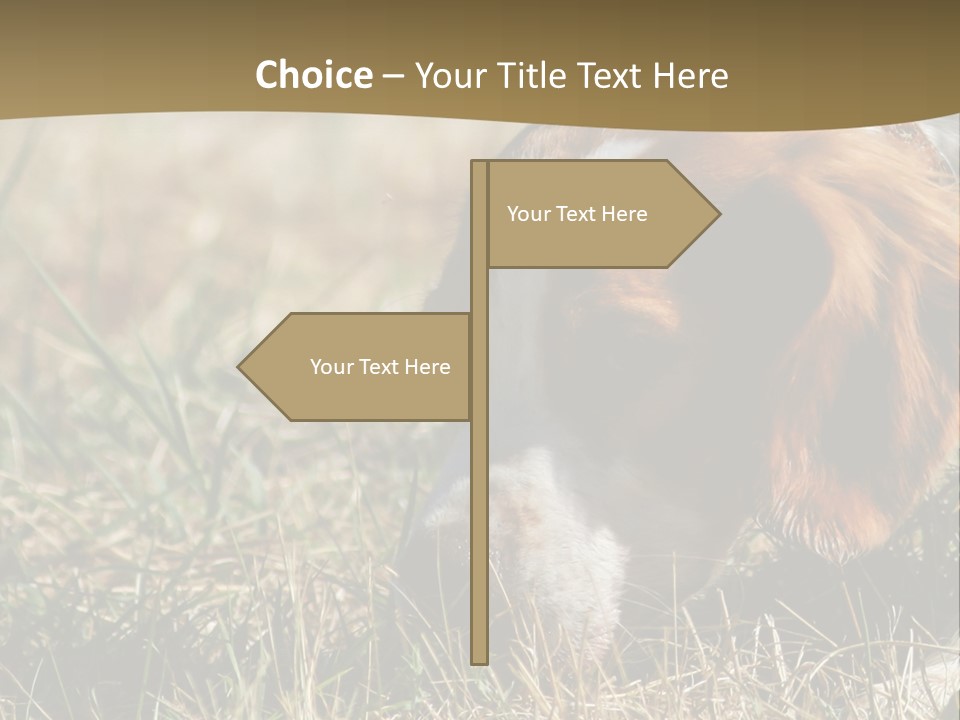 High Environment Architecture PowerPoint Template