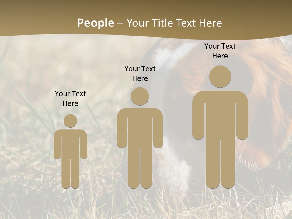 High Environment Architecture PowerPoint Template