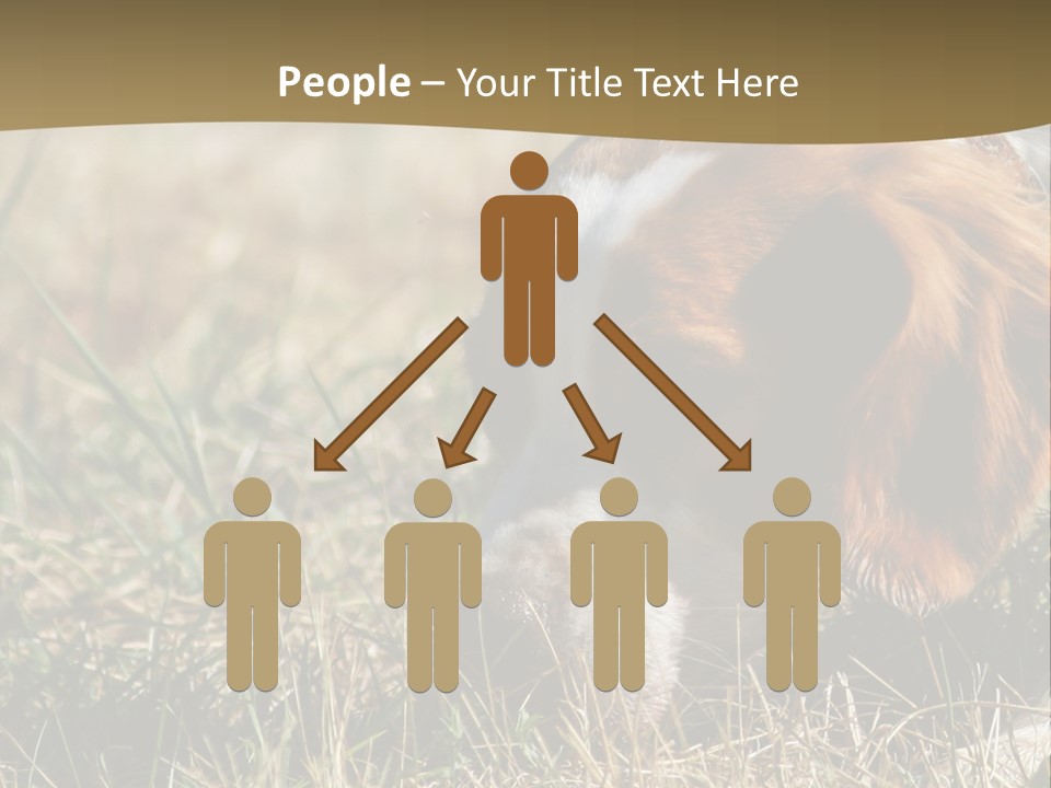 High Environment Architecture PowerPoint Template