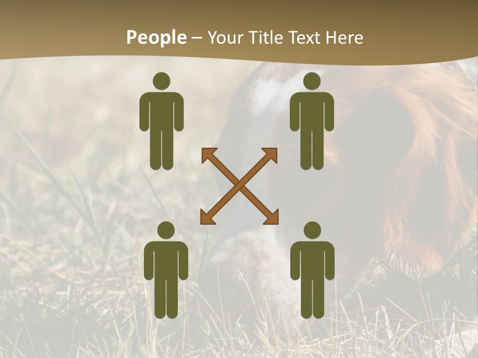 High Environment Architecture PowerPoint Template