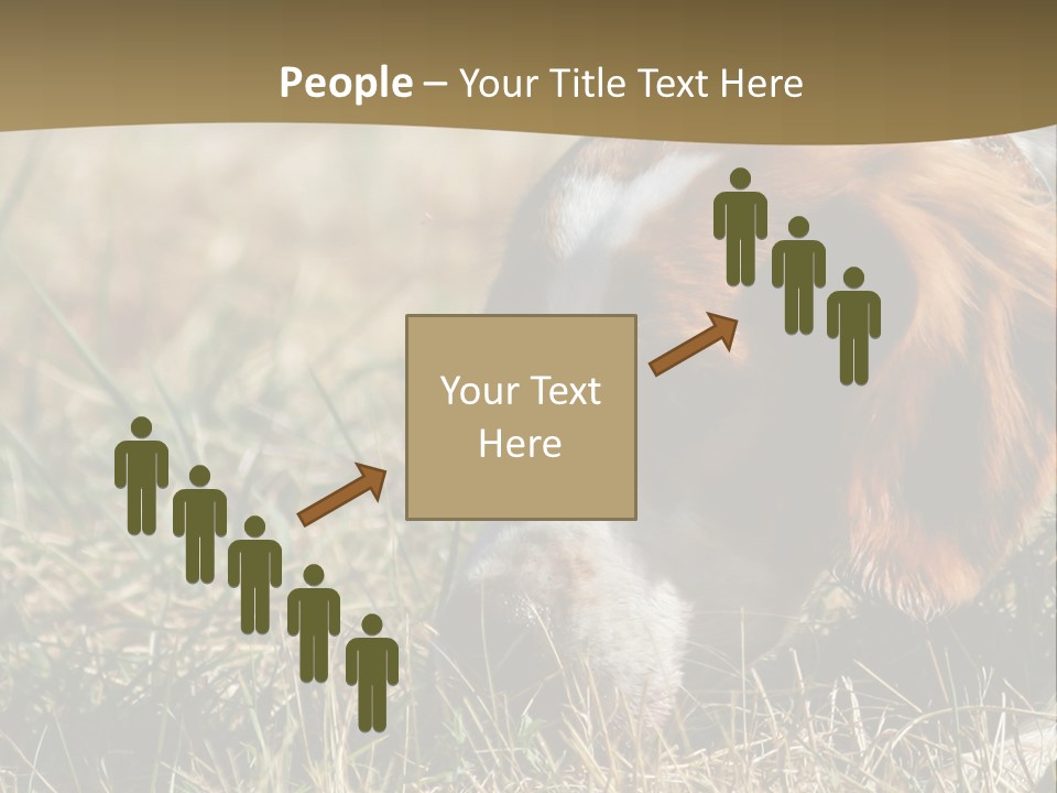 High Environment Architecture PowerPoint Template