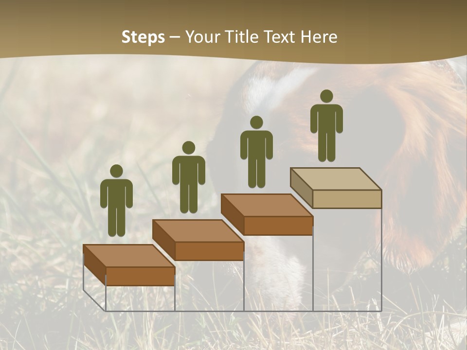 High Environment Architecture PowerPoint Template