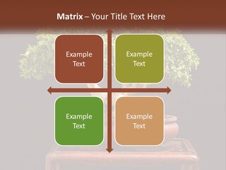 Modern Concept Big PowerPoint Template