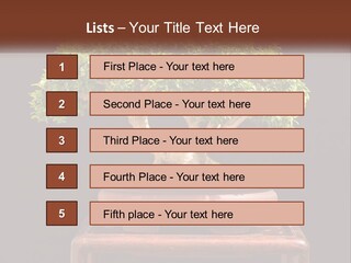 Modern Concept Big PowerPoint Template
