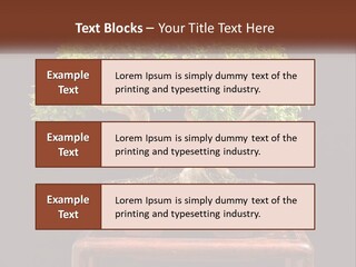 Modern Concept Big PowerPoint Template
