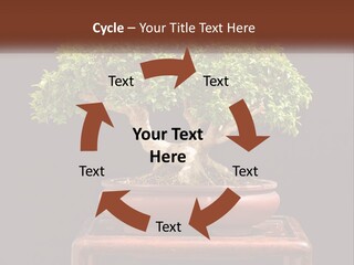 Modern Concept Big PowerPoint Template