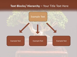 Modern Concept Big PowerPoint Template