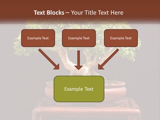 Modern Concept Big PowerPoint Template