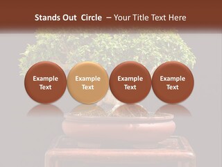 Modern Concept Big PowerPoint Template