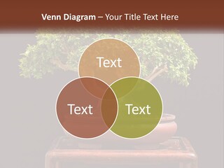 Modern Concept Big PowerPoint Template
