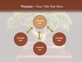 Modern Concept Big PowerPoint Template