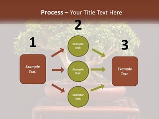 Modern Concept Big PowerPoint Template