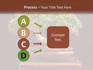 Modern Concept Big PowerPoint Template