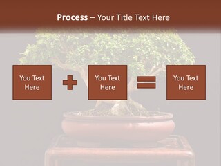 Modern Concept Big PowerPoint Template
