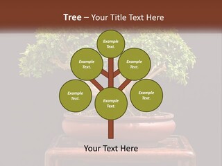 Modern Concept Big PowerPoint Template