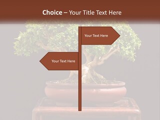 Modern Concept Big PowerPoint Template