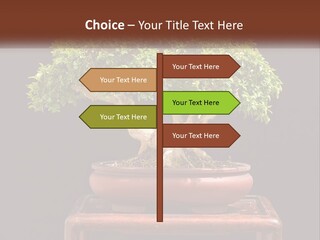 Modern Concept Big PowerPoint Template