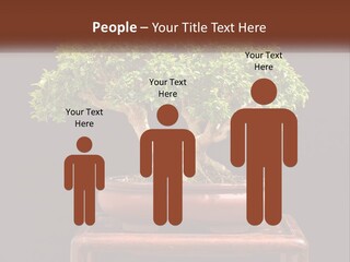 Modern Concept Big PowerPoint Template