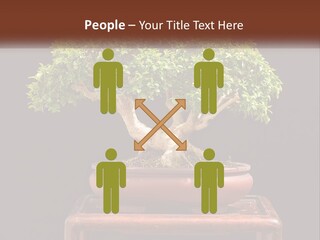 Modern Concept Big PowerPoint Template