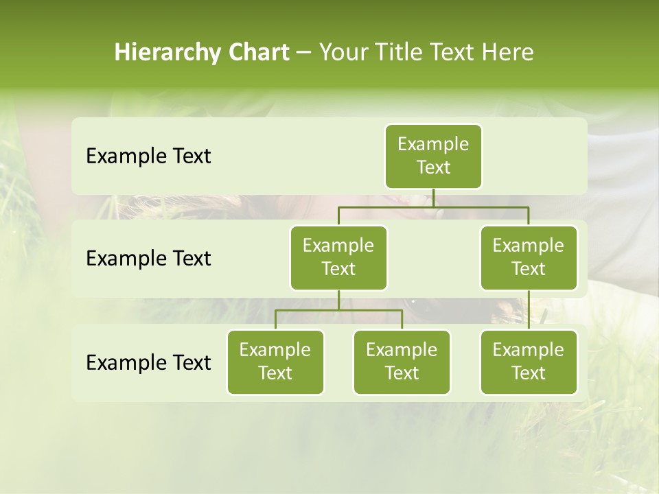 Design Building Global PowerPoint Template